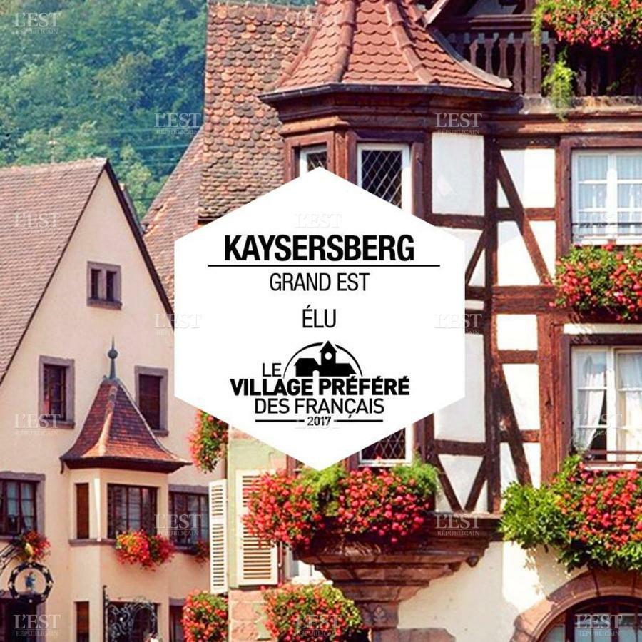Venez Loger Chez L'Habitant Au Centre De L'Alsace, A Cote D'Europa Park ! Hotel Marckolsheim Eksteriør billede